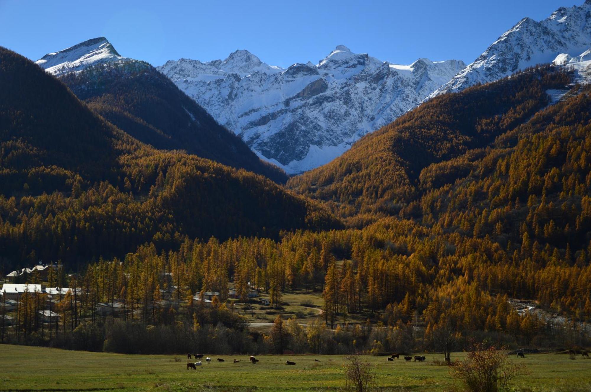 فيلا Le Refuge Des Boussardes Le Monêtier-les-Bains المظهر الخارجي الصورة